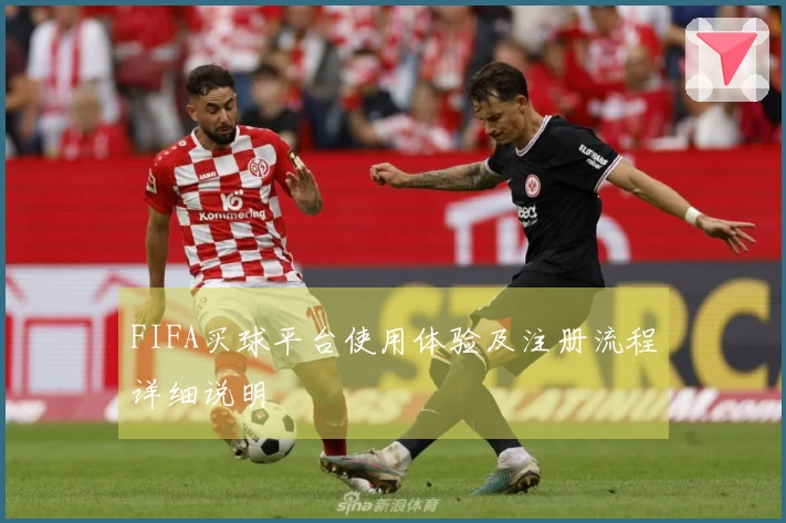 FIFA买球平台使用体验及注册流程详细说明