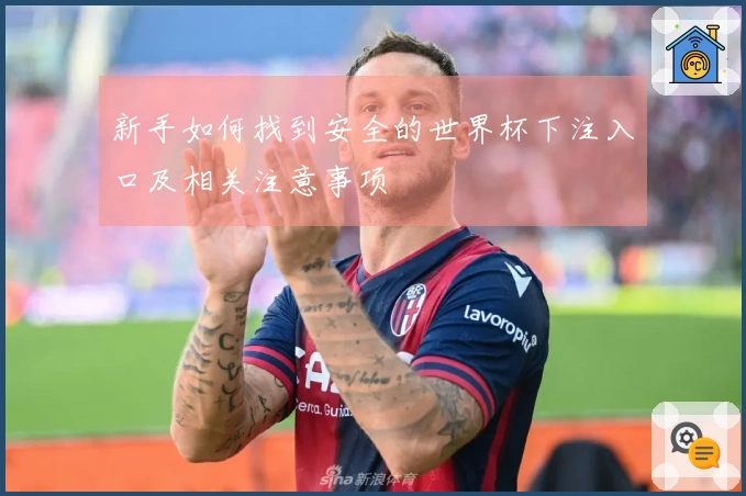 新手如何找到安全的世界杯下注入口及相关注意事项