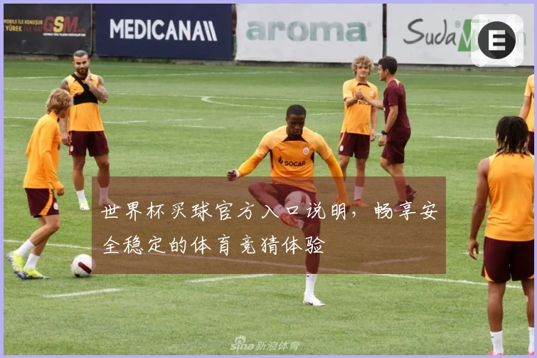 世界杯买球官方入口说明，畅享安全稳定的体育竞猜体验