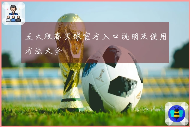 五大联赛买球官方入口说明及使用方法大全