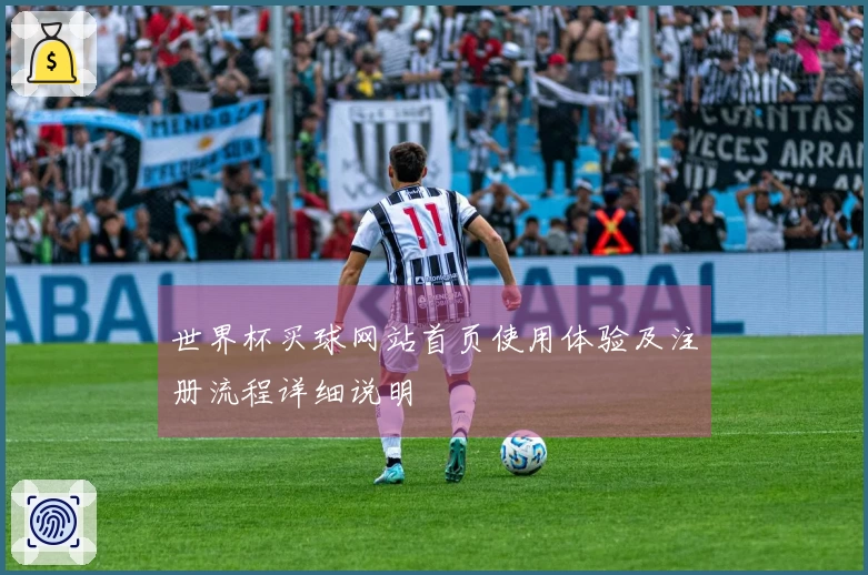 世界杯买球网站首页使用体验及注册流程详细说明