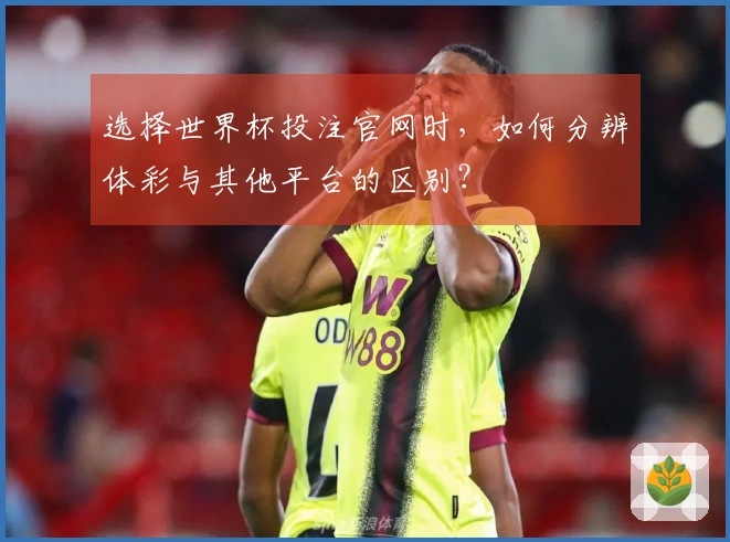 选择世界杯投注官网时，如何分辨体彩与其他平台的区别？