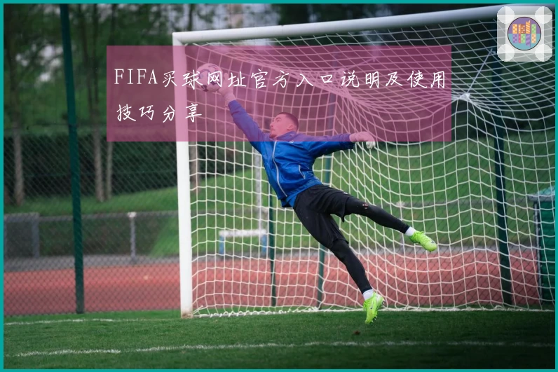 FIFA买球网址官方入口说明及使用技巧分享
