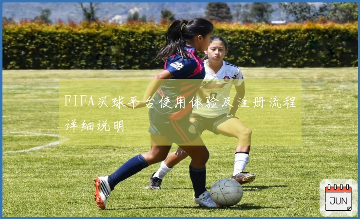 FIFA买球平台使用体验及注册流程详细说明