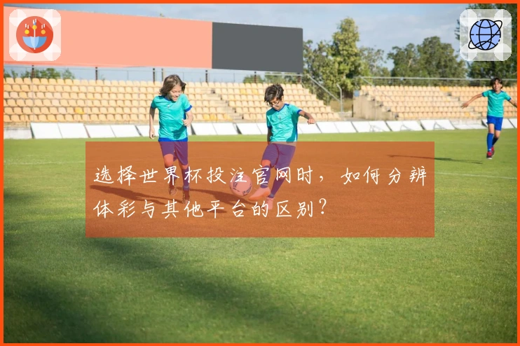 选择世界杯投注官网时，如何分辨体彩与其他平台的区别？