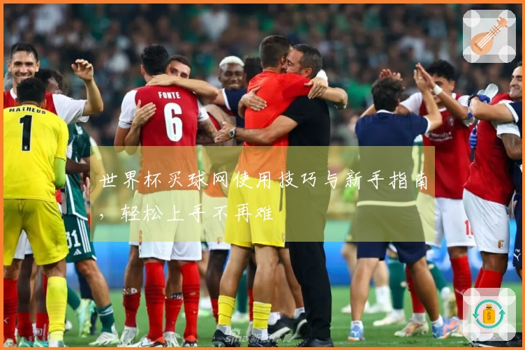 世界杯买球网使用技巧与新手指南，轻松上手不再难