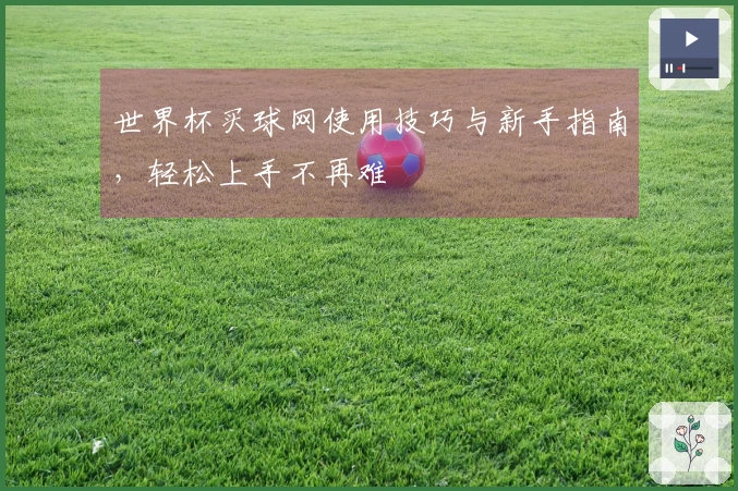 世界杯买球网使用技巧与新手指南,轻松上手不再难