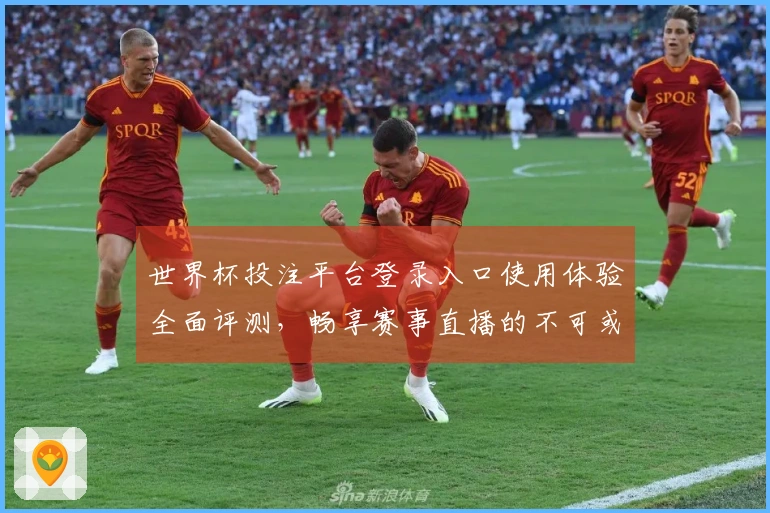世界杯投注平台登录入口使用体验全面评测，畅享赛事直播的不可或缺平台