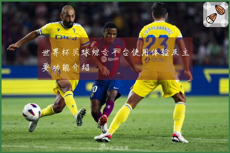 世界杯买球综合平台使用体验及主要功能介绍