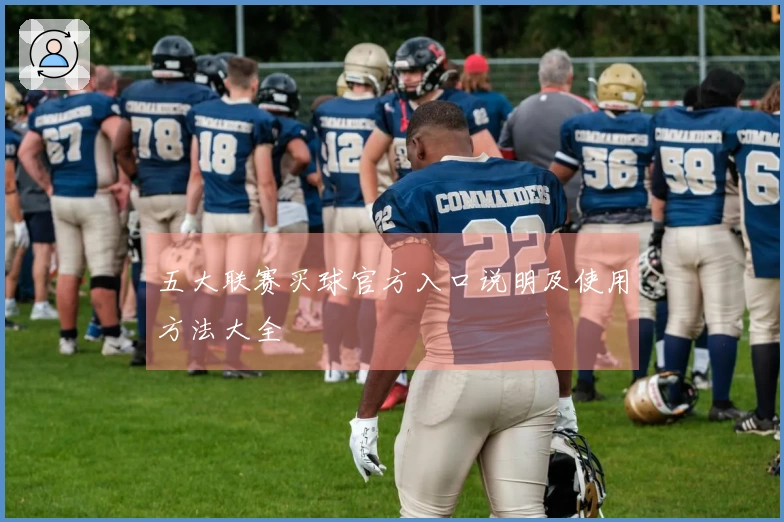 五大联赛买球官方入口说明及使用方法大全